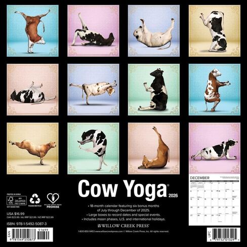 Willow Creek Press, Cow Yoga 2026 Wall Calendar, 12'' X 12'', 18-Month Calendar with Stapled Binding in Saudi Arabia