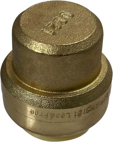 10 Pcs. XFITTING 3/4" Push Fit Cap in Kuwait