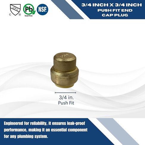 10 Pcs. XFITTING 3/4" Push Fit Cap in Kuwait