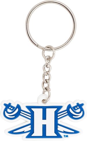 Desert Cactus Hampton University Keychain Car Keys Holder (PVC B) in Saudi Arabia