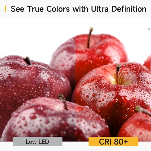 SHINESTAR 8-Pack G25 Globe Light Bulbs, Warm White 2700K, Dimmable, E26 LED Bulb 60 watt Equivalent, Vintage Light Bulbs for Vanity Mirror in Kuwait