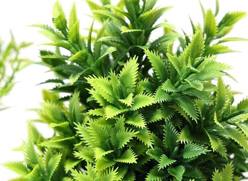 6 Pack Mini Artificial Plants, Set of Potted Fake Plants for Home Office Desk Decor, Small Realistic Miniature Bonsai for Bathroom and Shelf Display in Kuwait