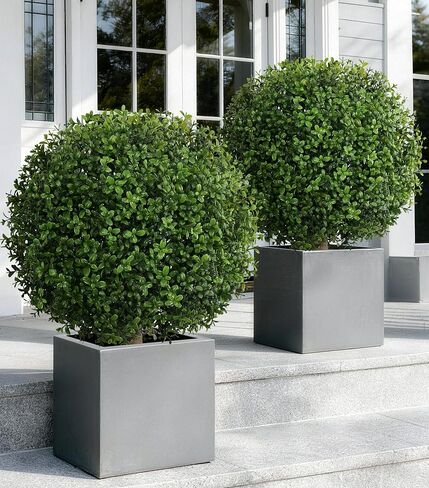 Artificial Boxwood Topiary Ball Trees for Outdoor Set of 2 Fake Plant Bushes with Ground Spike UV Resistant Faux Shrubs for Garden Front Porch, Green in Saudi Arabia