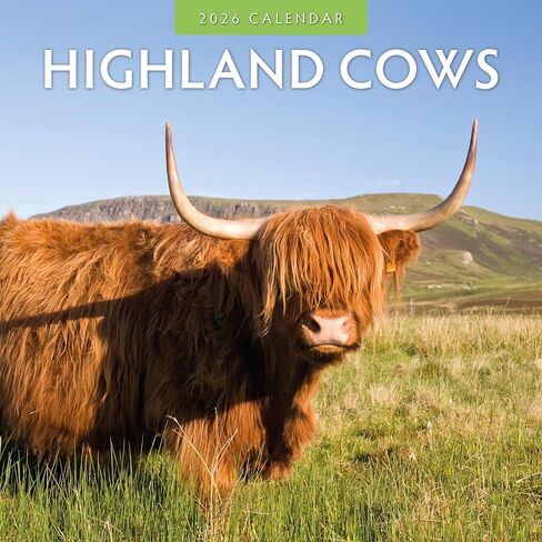Red Robin 2026 Highland Cows Monthly Wall Calendar | 12" x 24" Open | Premium Thick & Sturdy Paper | Hangable 12 Month Calendar | Lined Notes & To Do Area | Vivid Images | Plastic Free in Saudi Arabia