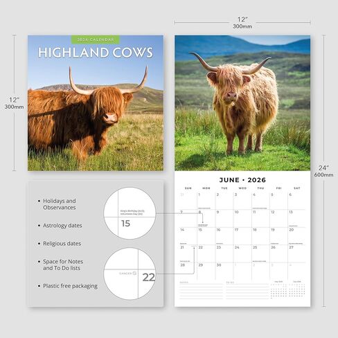 Red Robin 2026 Highland Cows Monthly Wall Calendar | 12" x 24" Open | Premium Thick & Sturdy Paper | Hangable 12 Month Calendar | Lined Notes & To Do Area | Vivid Images | Plastic Free in Saudi Arabia