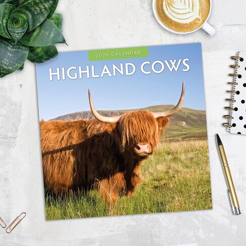 Red Robin 2026 Highland Cows Monthly Wall Calendar | 12" x 24" Open | Premium Thick & Sturdy Paper | Hangable 12 Month Calendar | Lined Notes & To Do Area | Vivid Images | Plastic Free in Saudi Arabia