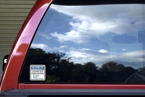 StickerTalk in Emergency Occupant with Down Syndrome Sticker, 1 Sheet of 2 Stickers, 3 inches by 3 inches Each in Saudi Arabia