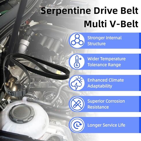 06E903137N 6PK2456 Serpentine Drive Belt Multi V-Belt Compatible with 3.0T Audi 2009-2011 A6(C6) 2007-2011 A6 Allroad Quattro in Kuwait