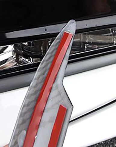 Car Accessories Fit for Honda Accord 10th Gen 2018-2020 ABS Exterior Front Fog Light Frame Cover Trim (Carbon Fiber) 2PCS Set in Saudi Arabia