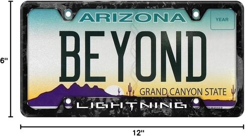 iPick Image for Ford F-150 Lightning Real Black Forged Carbon Fiber 50 States License Plate Frame in Saudi Arabia