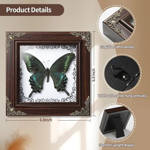 فراشة Papilio maackii المحفوظة مؤطرة - 6.8x6.8 بوصة صندوق ظلال عينات الحشرات مصنوع يدويًا، غابة خضراء الملكة الفراشة القوطية ديكور المنزل لعيد الميلاد والهالوين هدايا عيد الميلاد in Kuwait