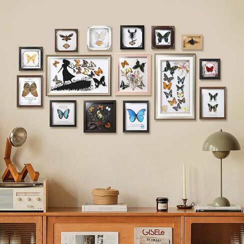 فراشة Papilio maackii المحفوظة مؤطرة - 6.8x6.8 بوصة صندوق ظلال عينات الحشرات مصنوع يدويًا، غابة خضراء الملكة الفراشة القوطية ديكور المنزل لعيد الميلاد والهالوين هدايا عيد الميلاد in Kuwait
