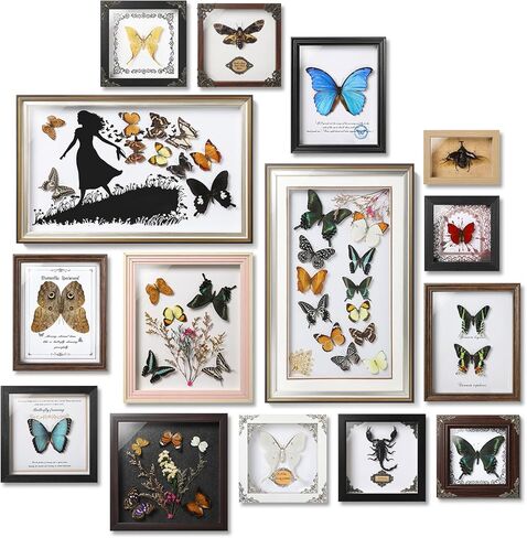 فراشة Papilio maackii المحفوظة مؤطرة - 6.8x6.8 بوصة صندوق ظلال عينات الحشرات مصنوع يدويًا، غابة خضراء الملكة الفراشة القوطية ديكور المنزل لعيد الميلاد والهالوين هدايا عيد الميلاد in Kuwait