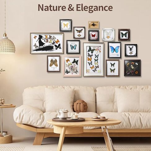 فراشة Papilio maackii المحفوظة مؤطرة - 6.8x6.8 بوصة صندوق ظلال عينات الحشرات مصنوع يدويًا، غابة خضراء الملكة الفراشة القوطية ديكور المنزل لعيد الميلاد والهالوين هدايا عيد الميلاد in Kuwait