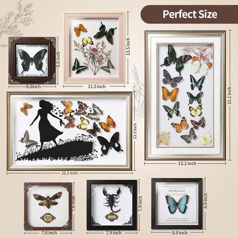 فراشة Papilio maackii المحفوظة مؤطرة - 6.8x6.8 بوصة صندوق ظلال عينات الحشرات مصنوع يدويًا، غابة خضراء الملكة الفراشة القوطية ديكور المنزل لعيد الميلاد والهالوين هدايا عيد الميلاد in Kuwait