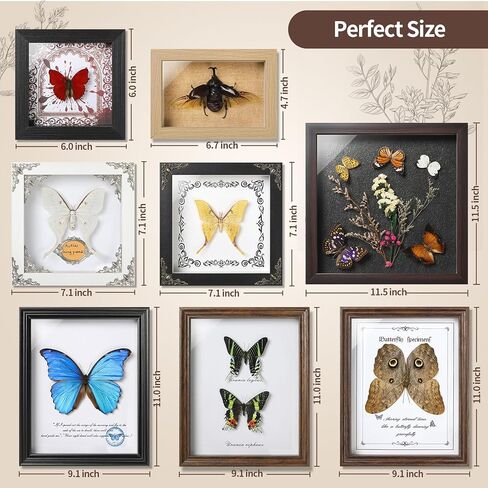 فراشة Papilio maackii المحفوظة مؤطرة - 6.8x6.8 بوصة صندوق ظلال عينات الحشرات مصنوع يدويًا، غابة خضراء الملكة الفراشة القوطية ديكور المنزل لعيد الميلاد والهالوين هدايا عيد الميلاد in Kuwait