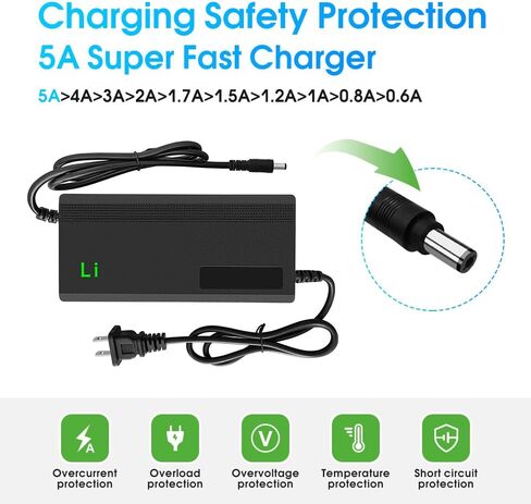 29.4V 3A/5A Charger with 6-in-1 Plug for 36V Lithium Battery Such as Car Truck Lawn Mower Boat Marine Batteries (29.4V5A) in Saudi Arabia