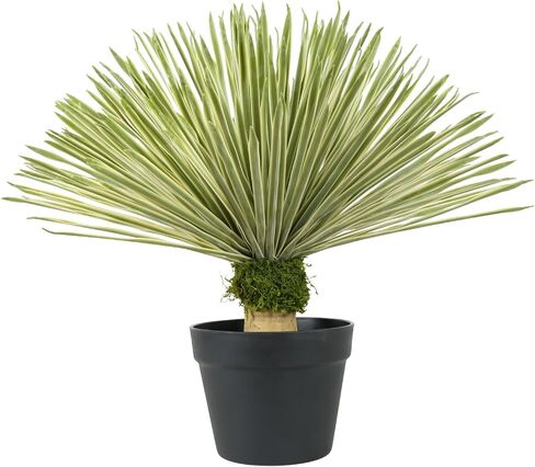 نبات الصبار الاصطناعي فيلينر في وعاء أسود مع حصى حجرية حقيقية، نباتات وهمية كبيرة مع طحلب أخضر مزيف، يوكا صناعية مع أوراق طويلة على شكل سيف للداخل/الخارج - 23 بوصة، 270 ورقة in Kuwait