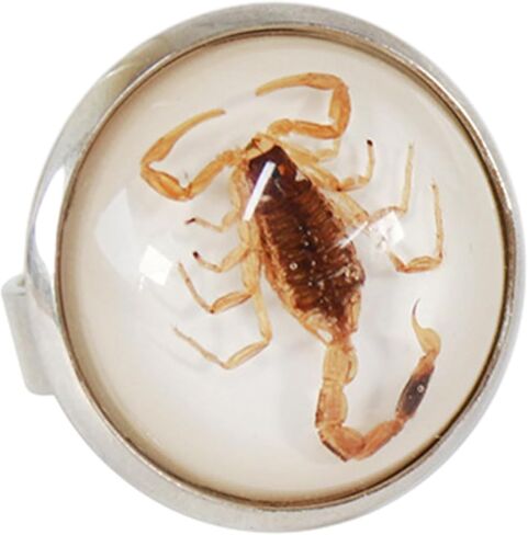 Stylish Round Scorpion Rings Adjsuatble Opening Rings Resin Statement Unique Finger Jewellery Trendy Couple Gift in Kuwait