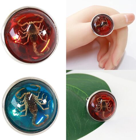 Stylish Round Scorpion Rings Adjsuatble Opening Rings Resin Statement Unique Finger Jewellery Trendy Couple Gift in Saudi Arabia