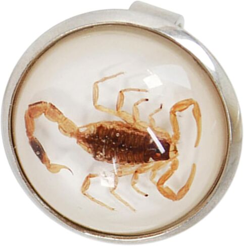 Stylish Round Scorpion Rings Adjsuatble Opening Rings Resin Statement Unique Finger Jewellery Trendy Couple Gift in Saudi Arabia