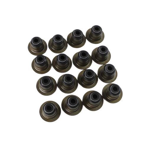 Cylinder Head Gasket Kit N46B20 N46B20A N46B20B Compatible with 120i 318i 320i 520i E60 E82 E83 E88 E90 E91 X1 X3 Z4 2.0L in Kuwait