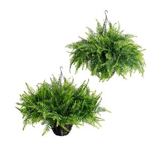 2PCS Fake Hanging Plant- Boston Ferns UV Resistant Plastic Plants - Perfect for Outdoor Décor with Lifelike Beauty (Persian-Green) in Saudi Arabia