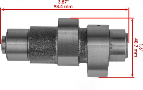 Caltric Camshaft Timing Gear Sprocket Gasket Compatible with Yamaha Wolverine 350 YFM350FX 4X4 1995-2005 in Saudi Arabia