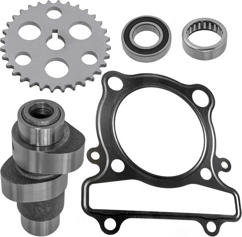 Caltric Camshaft Timing Gear Sprocket Gasket Compatible with Yamaha Wolverine 350 YFM350FX 4X4 1995-2005 in Saudi Arabia