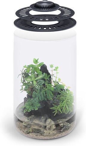 Bio Cylinder - Glass Plant Terrarium Kit - Glass Terrarium w/LED Grow Light, Adjustable Ventilation Lid, Substrate, Moss & Accent Rocks - Bio Bowl 175 in Saudi Arabia