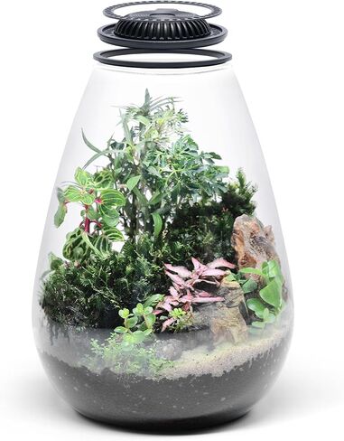 Bio Cylinder - طقم Terrarium للنباتات الزجاجية - حوض زجاجي مع ضوء LED للنمو، غطاء تهوية قابل للتعديل، ركيزة، طحالب وصخور مميزة - Bio Bowl 175 in Kuwait
