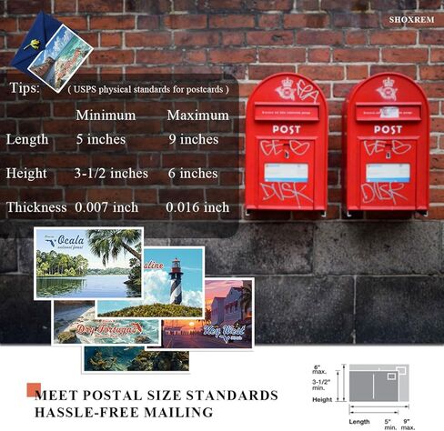 SHOXREM Florida Postcards Set, 24 Pieces, 4x6 inches, Retro Travel Landmark Posters Wall Decor in Kuwait