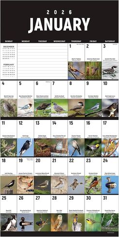 TF Publishing 2026 Birds: Backyard and Beyond Wall Calendar - Large Grids for Appointments and Scheduling - Vertical Monthly Wall Calendar 2026 w/Matte Paper for Home & Office Organization - 12x12in in Kuwait