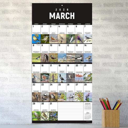TF Publishing 2026 Birds: Backyard and Beyond Wall Calendar - Large Grids for Appointments and Scheduling - Vertical Monthly Wall Calendar 2026 w/Matte Paper for Home & Office Organization - 12x12in in Kuwait