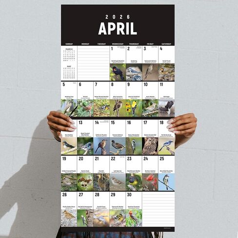 TF Publishing 2026 Birds: Backyard and Beyond Wall Calendar - Large Grids for Appointments and Scheduling - Vertical Monthly Wall Calendar 2026 w/Matte Paper for Home & Office Organization - 12x12in in Kuwait