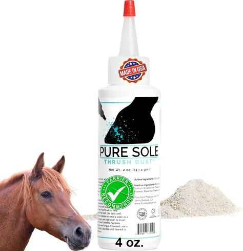 Thrush Dry Powder Treatment for Horses Thrush Dust - an All Natural Powder for Thrush Treatment 4 oz. in Kuwait