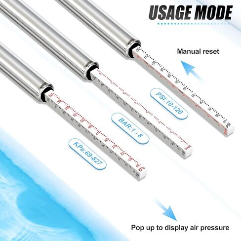 MEANLIN MEASURE 10Pcs Silver Double Straight Type Tire Pressure Gauge，Dual Head Air Pressure Gauge with 10Pcs Black Stem Caps，Pressure Range 10-120 Psi(Suitable for Trucks, etc. in Kuwait