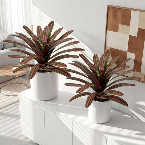 Agave Plant Artificial 23.6" Faux Agave Plant Indoor Outdoor Fake Agave 33 Leaves with Striped Texture Realistic Greenery for Porch Patio Home Decor 2 Pack Without Pot(Purple Green) in Saudi Arabia