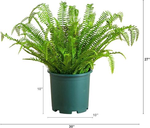 Nearly Natural 27in. UV Resistant Artificial Boston Fern Plant with Real Touch Leaves (Indoor/Outdoor) in Saudi Arabia