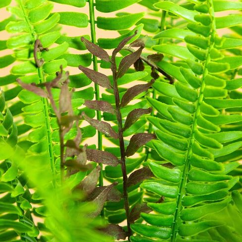 Nearly Natural 27in. UV Resistant Artificial Boston Fern Plant with Real Touch Leaves (Indoor/Outdoor) in Saudi Arabia