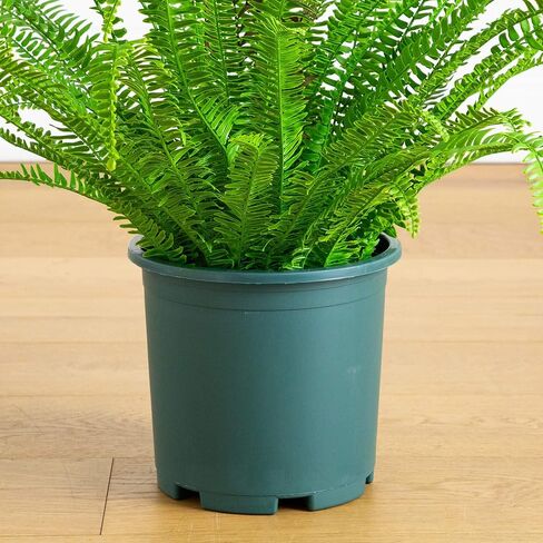 Nearly Natural 27in. UV Resistant Artificial Boston Fern Plant with Real Touch Leaves (Indoor/Outdoor) in Saudi Arabia