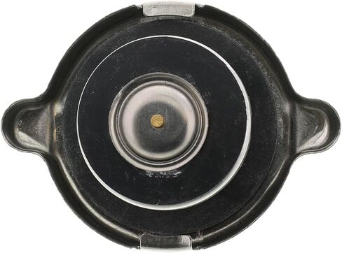 Radiator Cap Compatible With Ford Mustang 1995 1994 1993 1992 1991 1990 1989 1988 1987 1986 P-3949376 in Saudi Arabia