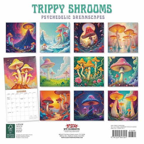 Trippy Shrooms: 12x12 Wall in Saudi Arabia