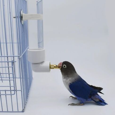 Bird Water Drinker Automatic Parrot Conure Cockatiel Water Dispenser Bird Cage Drinking Device for Medium Small Birds in Saudi Arabia