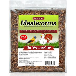 Dried Mealworms 10 lbs – Organic Non-GMO Dried Mealworms for Chickens Birds Bluebirds – High Protein Chicken Feed Meal Worms for Birds Bluebirds Wild Birds Hamsters & Chicken Bird Treats