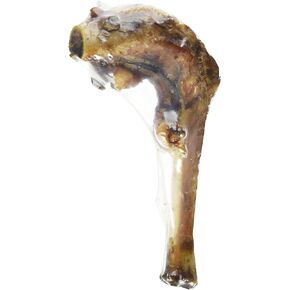 Lamb Shank Bone Shrinkwrap 7 in