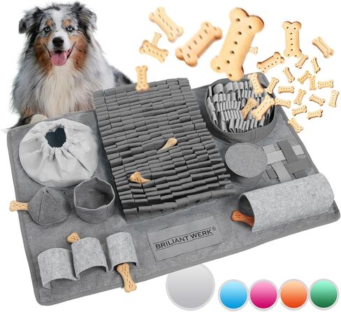 بساط الشم للكلاب من بريليانتويرك - مادة متينة للغاية - 10 عناصر تدريب و3 مستويات صعوبة - بساط الشم للكلاب للكلاب الكبيرة والكلاب من أي حجم (برتقالي) in Kuwait