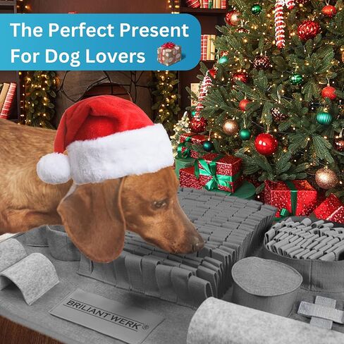 بساط الشم للكلاب من بريليانتويرك - مادة متينة للغاية - 10 عناصر تدريب و3 مستويات صعوبة - بساط الشم للكلاب للكلاب الكبيرة والكلاب من أي حجم (برتقالي) in Kuwait