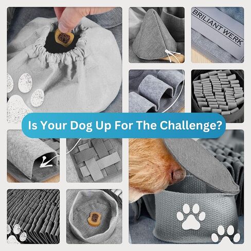 بساط الشم للكلاب من بريليانتويرك - مادة متينة للغاية - 10 عناصر تدريب و3 مستويات صعوبة - بساط الشم للكلاب للكلاب الكبيرة والكلاب من أي حجم (برتقالي) in Kuwait