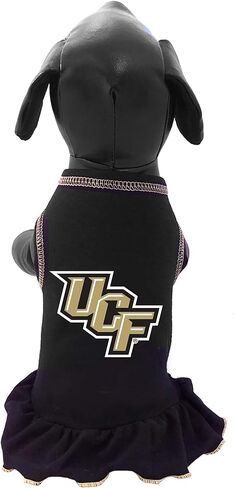 NCAA Central Florida Golden Knights Cheerleader Dog Dress in Saudi Arabia